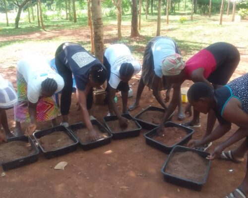 Black Soldier Fly farming training for women in Samia Subcounty — photo 4