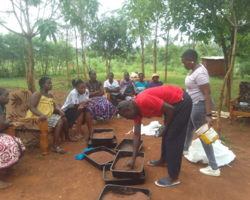 Black Soldier Fly farming training for women in Samia Subcounty — photo 5